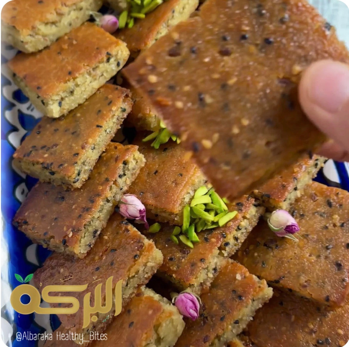 حلبة